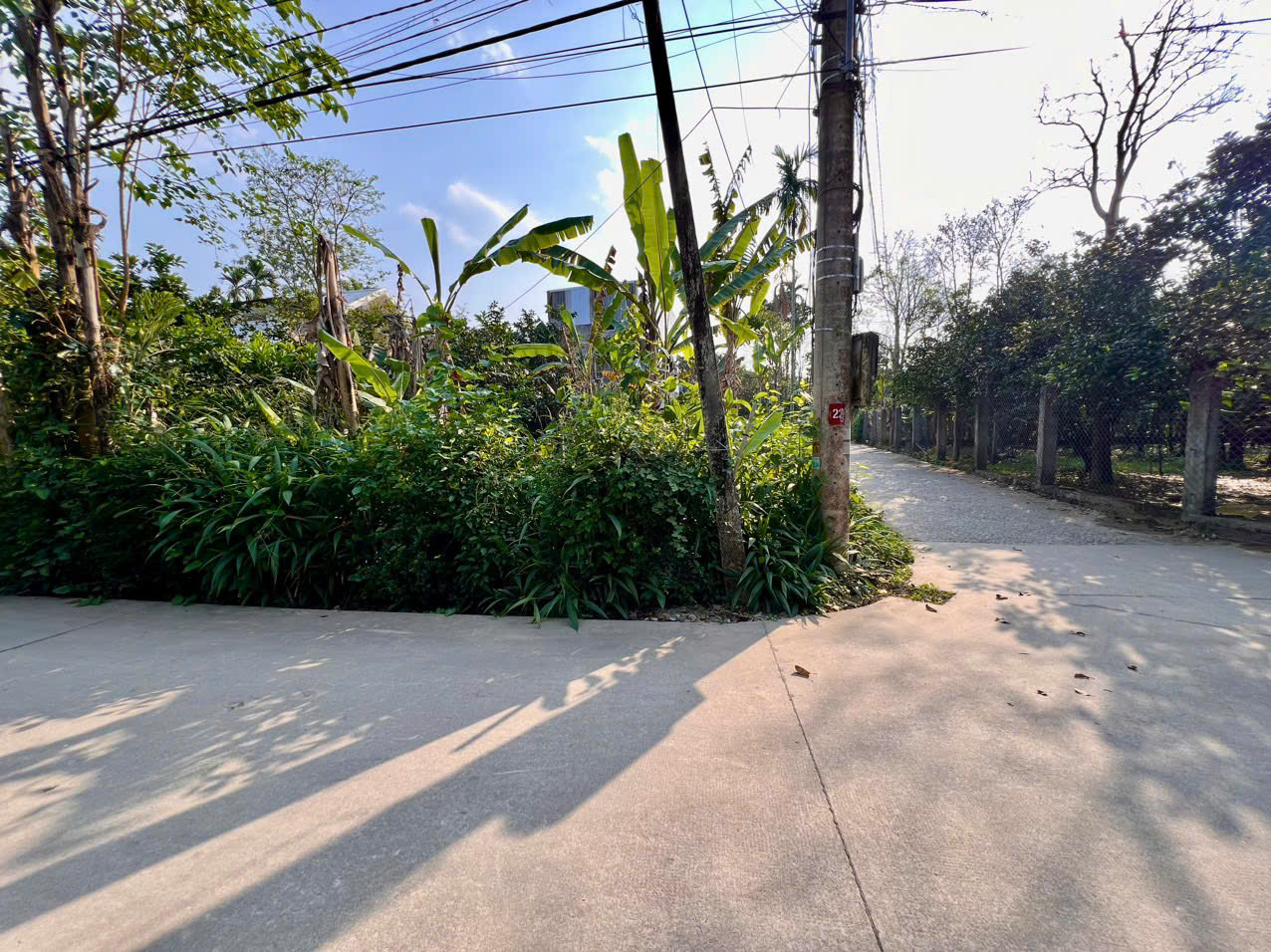 z6892357081248_d4f366cfe66f656cce2dd1151c7a8a34