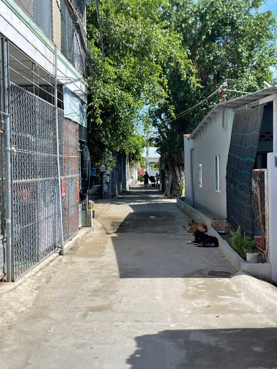 z6892526955669_68ea65e2c59c7302e8aced9a429c236f