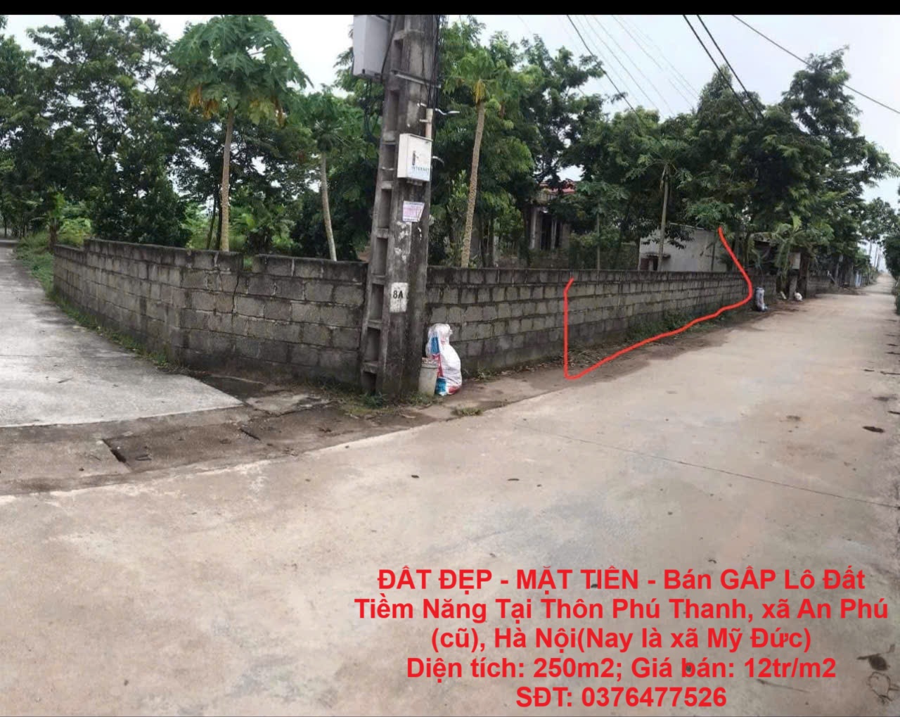 z6892741402964_7a7c311bb131a2f54e65225594da559