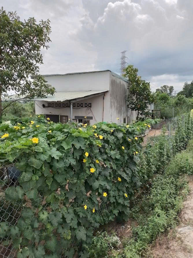 z6894908137674_c21a287f08b997549e56624f4f7033ab