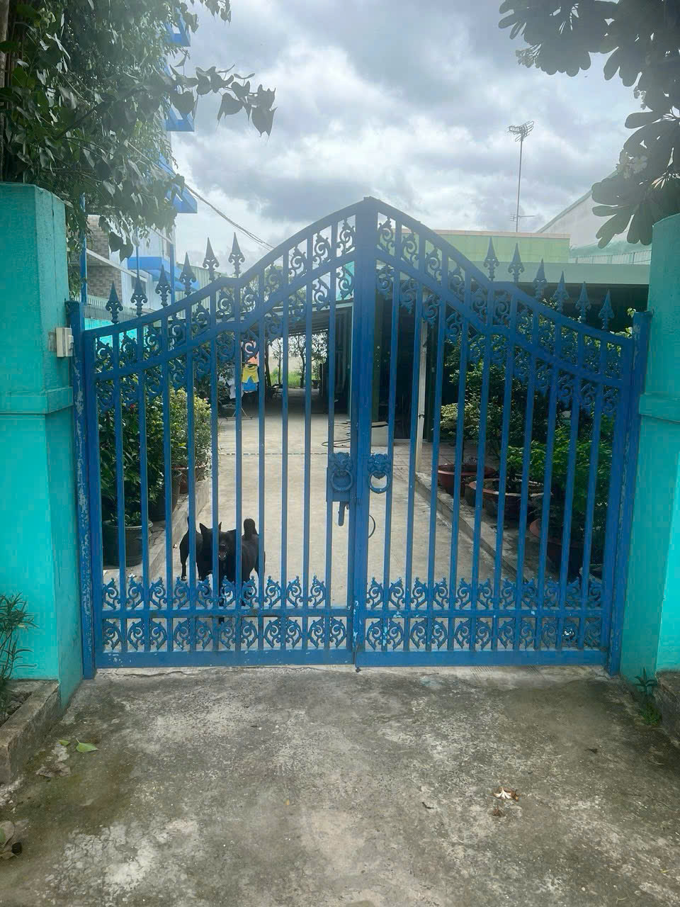 z6897386584573_f4645fa73dcf032953d530bcdc8a3dcd