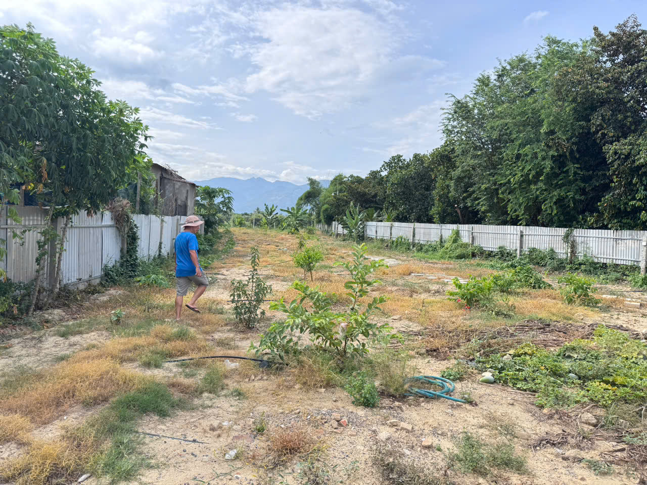 z6897969601656_5ded2a5043bc6da12738cf3c340cbeff