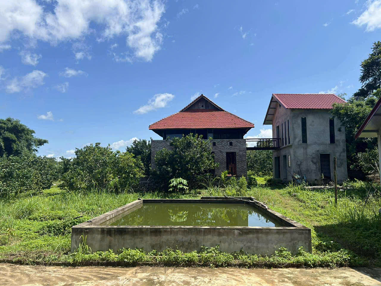 z6901782370445_c0aa27e4585ee10e4c8bc3ad14d53fdd