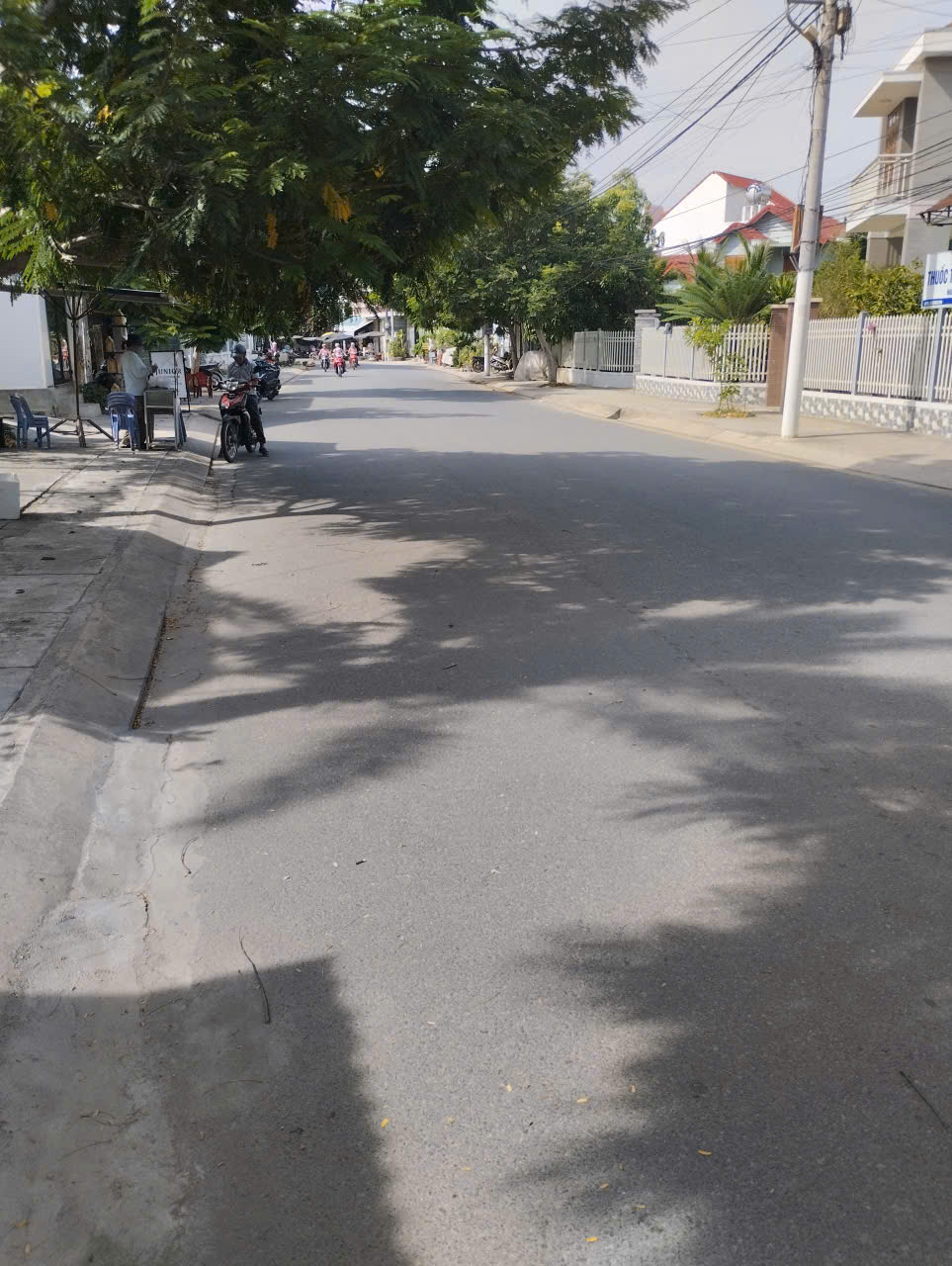 z6901809477071_b1defbe554f6941bef694fdcccfa5b34