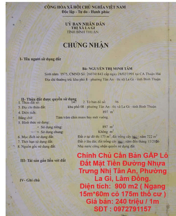 z6902537340528_d13e66020977a73a5831b8e3b0e729e