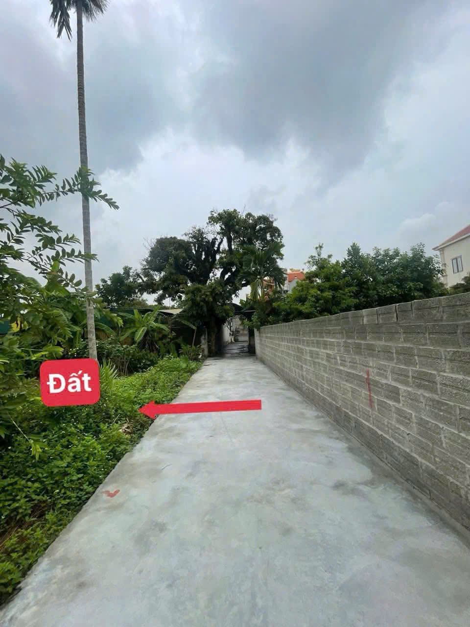 z6904533240639_802d3b4cf1df33bdb3e2d4c18516097b