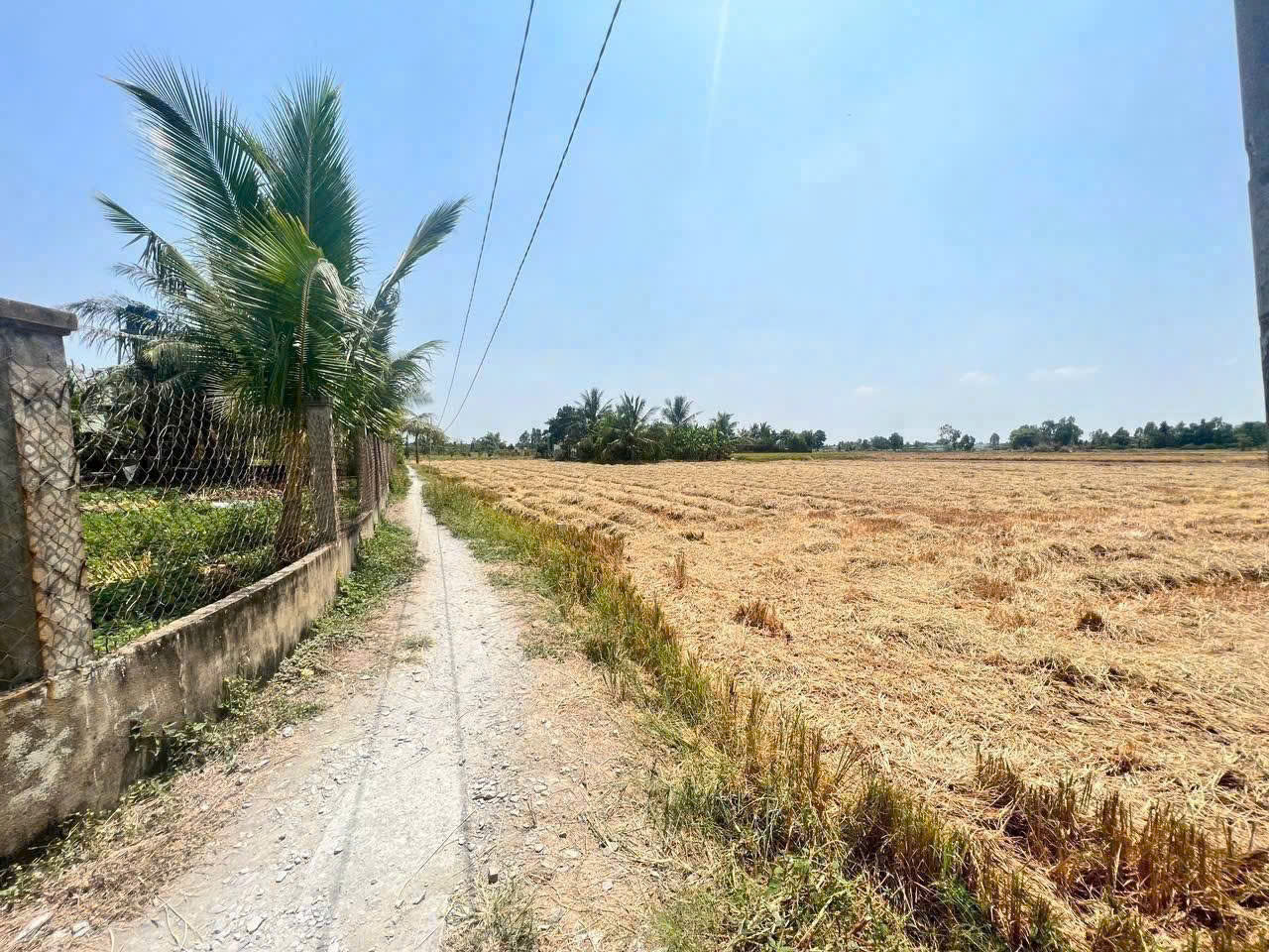 z6904716073391_83afc43654c466f1fa4702aeb0a064a9