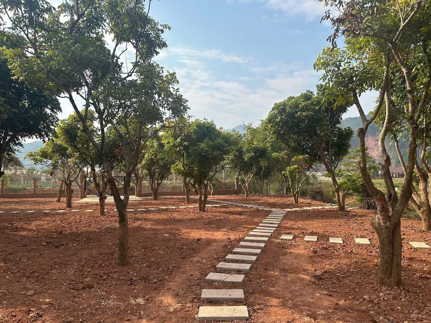 z6905012647429_0b3cc4f81a5c6adcd4c07e6c64f95762