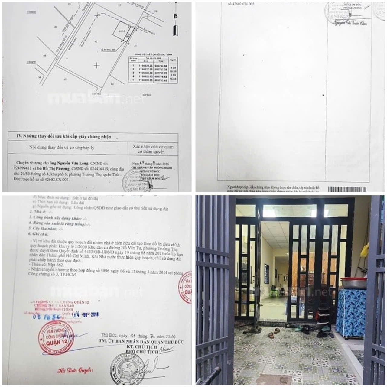 z6905549404472_5a6fd409602b2519b449d5092c1bc7b1