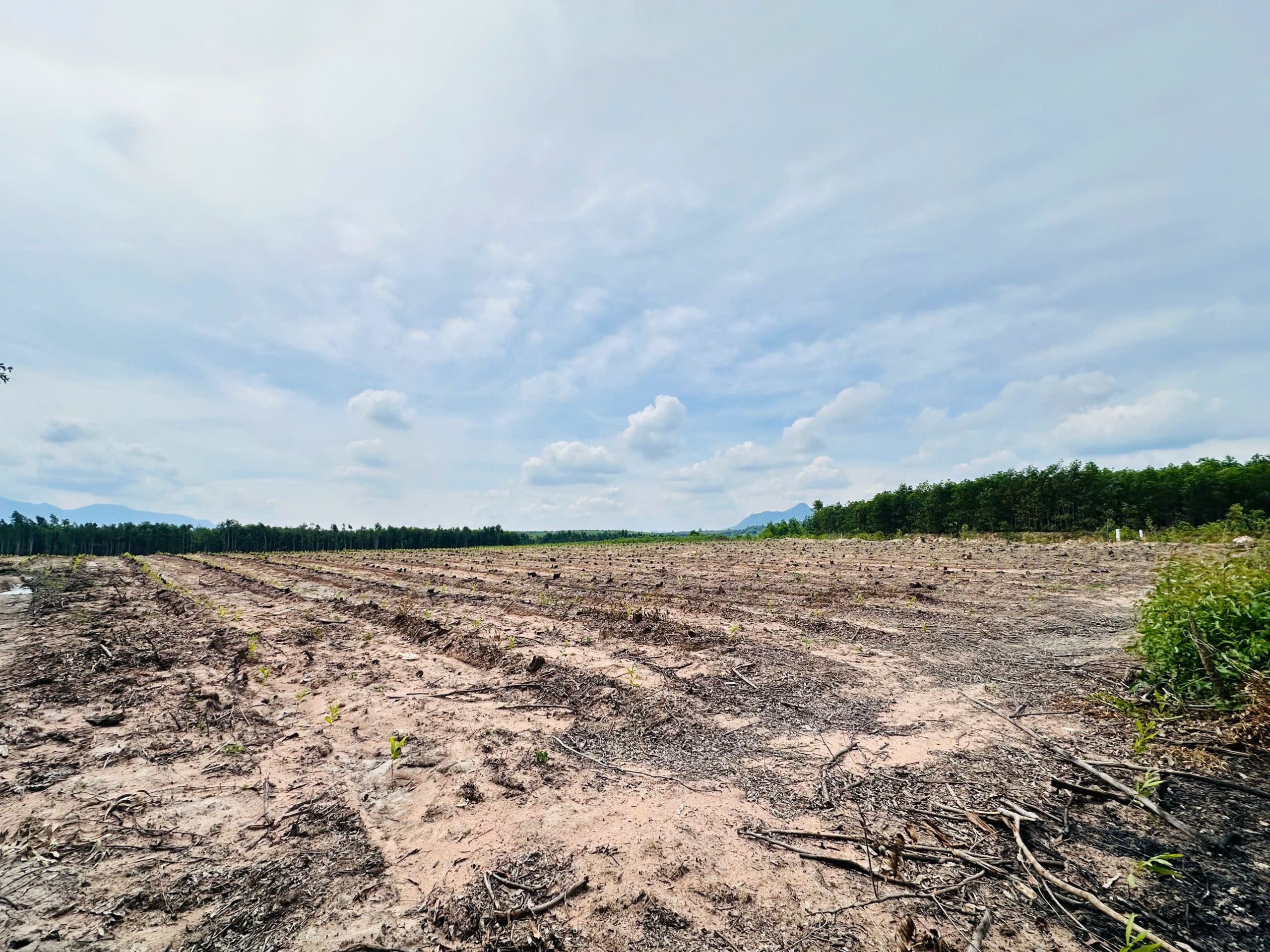 z6906218687490_57c6c3252d4db3d3c36423da46045493