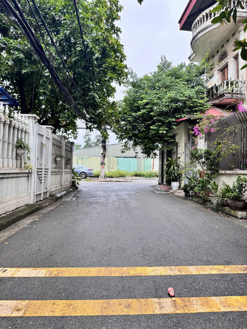 z6907443549100_d1ca73542758a0531877a0d7d9f05775