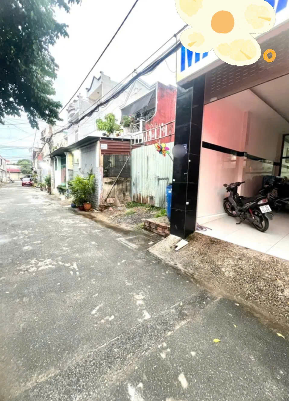 z6908183204894_1165e413783c363a36ad32fbcec5b850