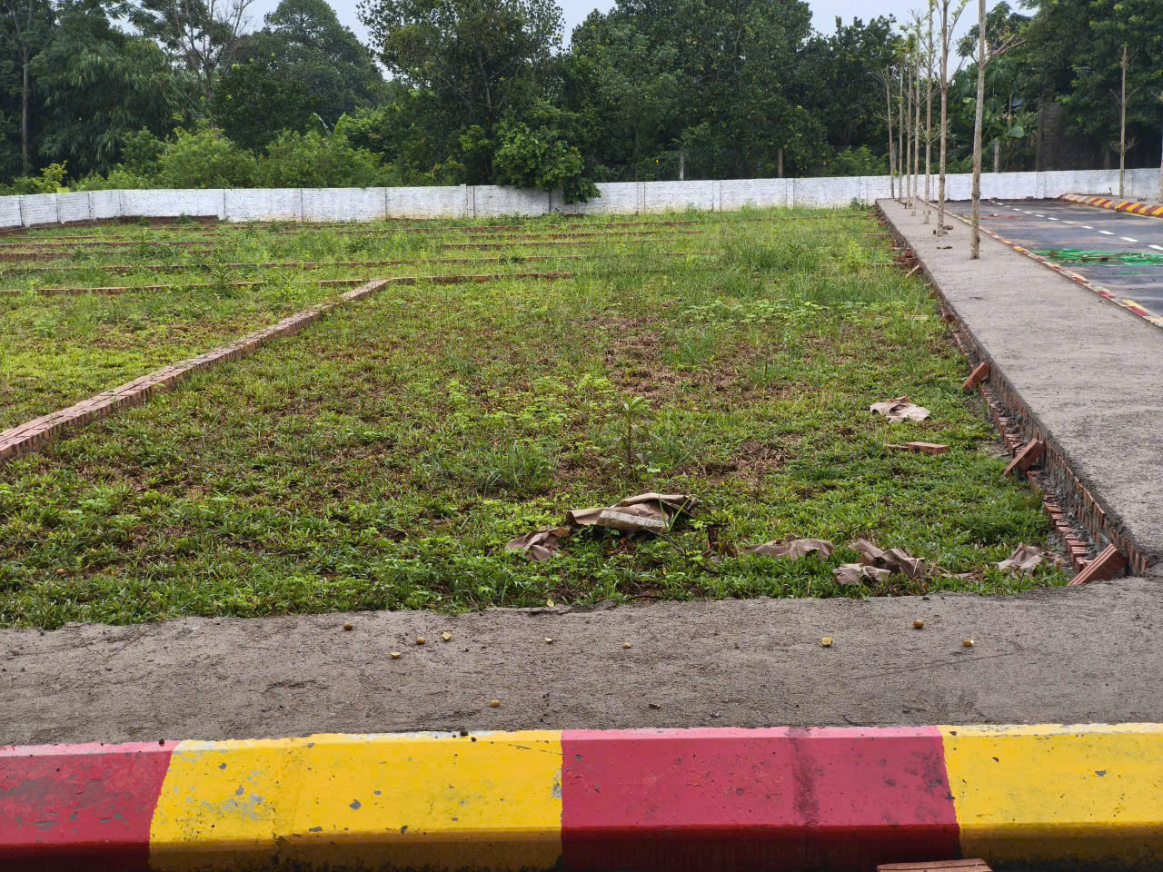 z6909627873501_1362a98e79660e9a1064cec3b9c391b5