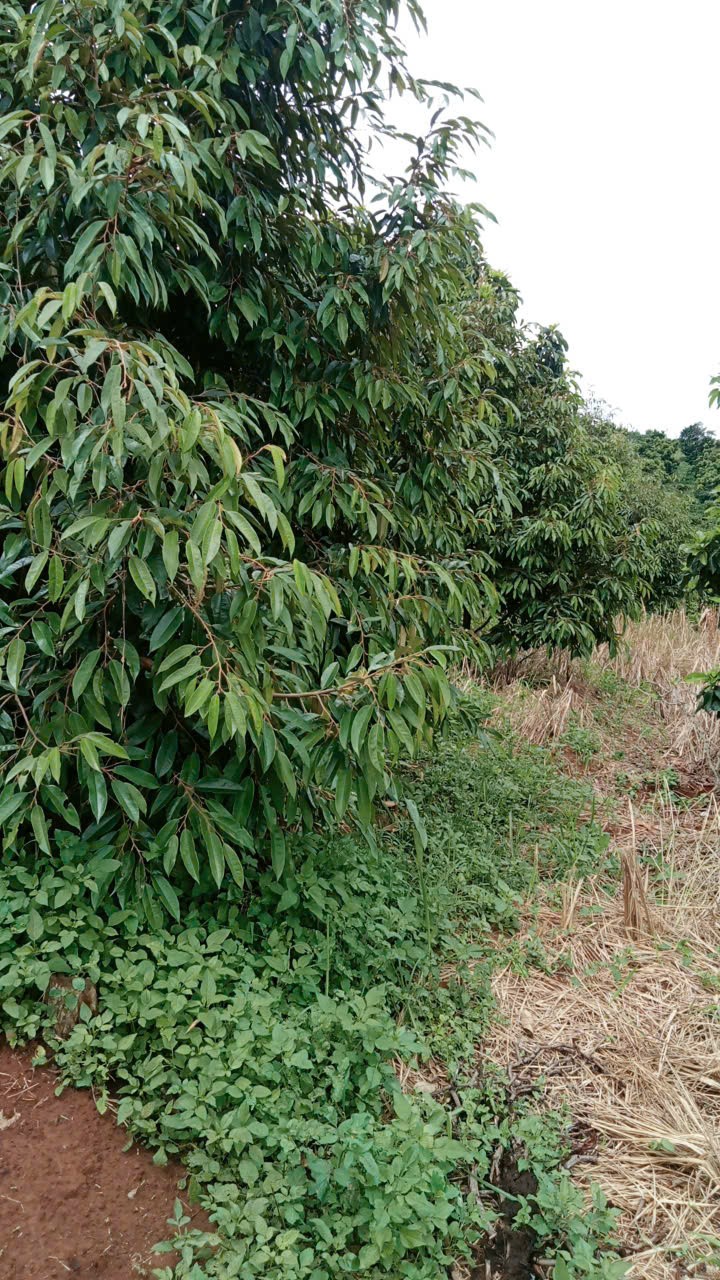 z6910592970896_2f173208b9de181b9c75d6401b75abb7
