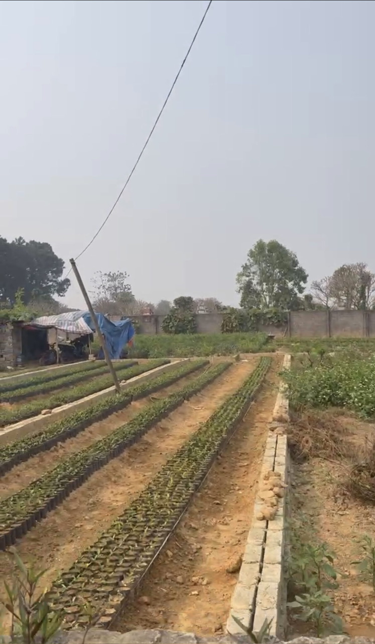 z6910636165481_3f588001727c717d33d006c909b2c1c8