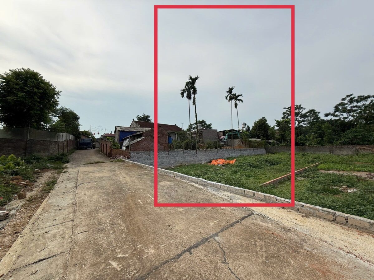 z6910660169043_5ef0485879344f5b61cccf05305d9ba3