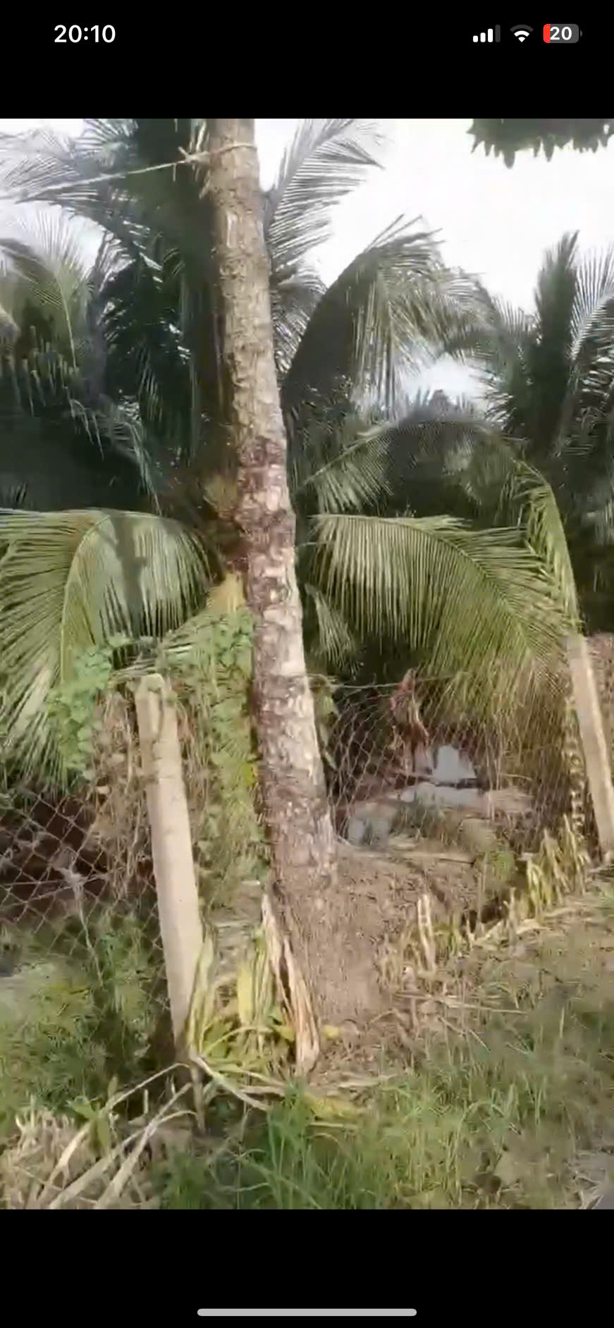 z6911036270101_9cdaae1de417fa0d93f83a1a0455bb49