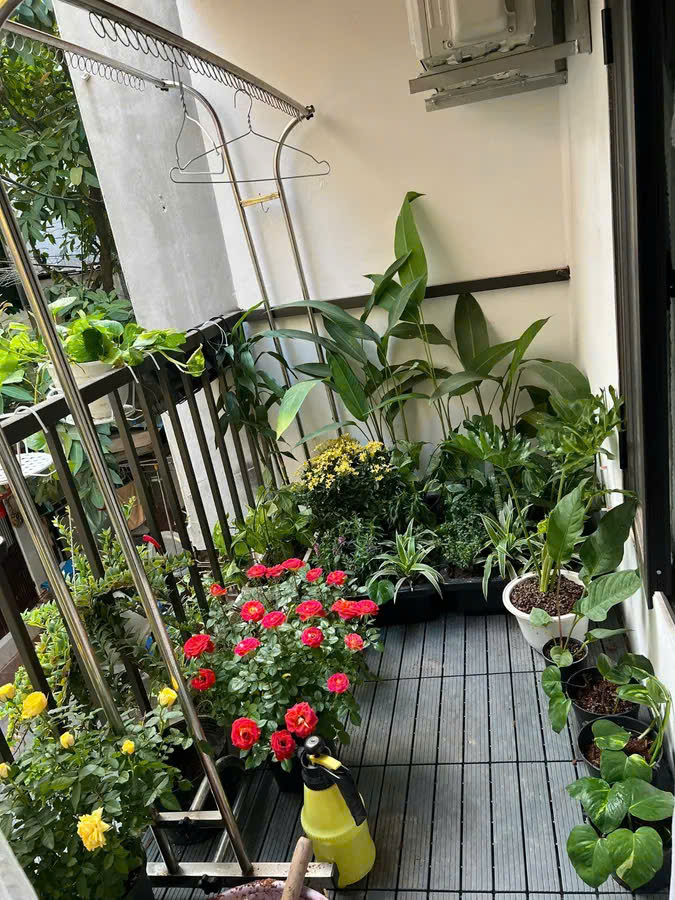 z6911973391257_e79dab81d01bcd72b00dbb1aaffbd41e