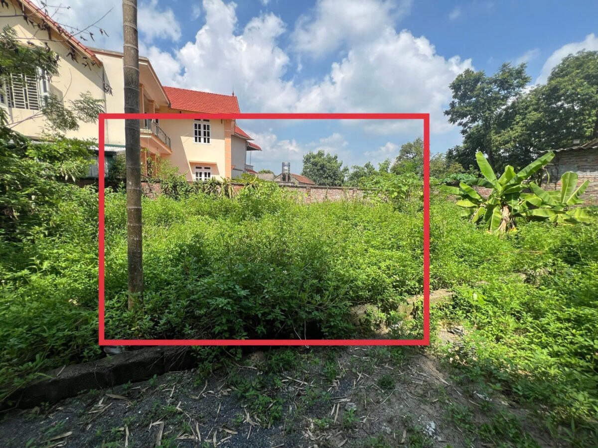 z6912810771202_106a021c175a40301cb1d7147fb12a8c