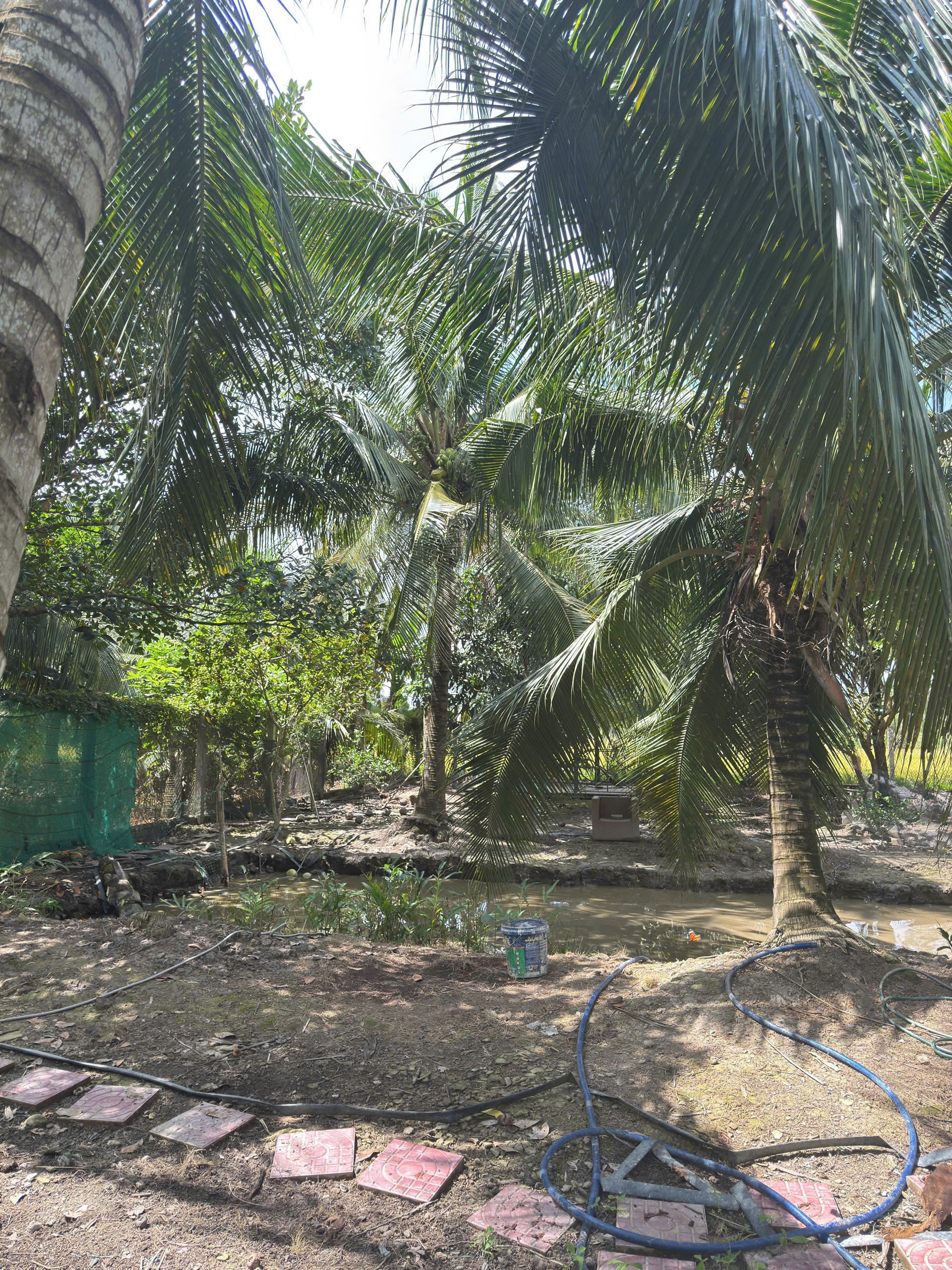 z6914196641020_c868738c0f1fffcb8f91de633803500c