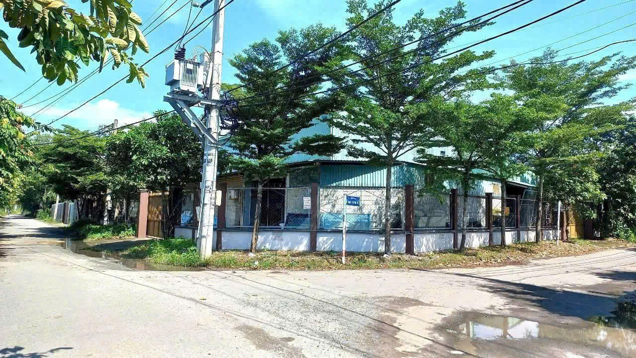 z6915329386361_c10f996e036358e7d4f2f7704e06d569