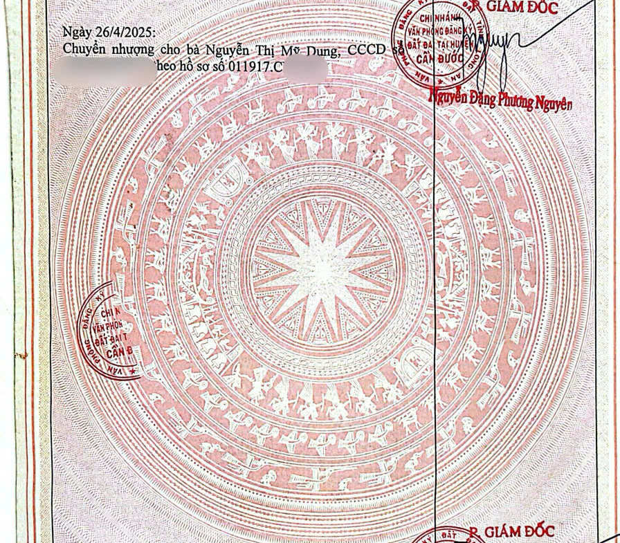 z6915889910479_d56c09323b6445d8b65c04bc3a960c1b