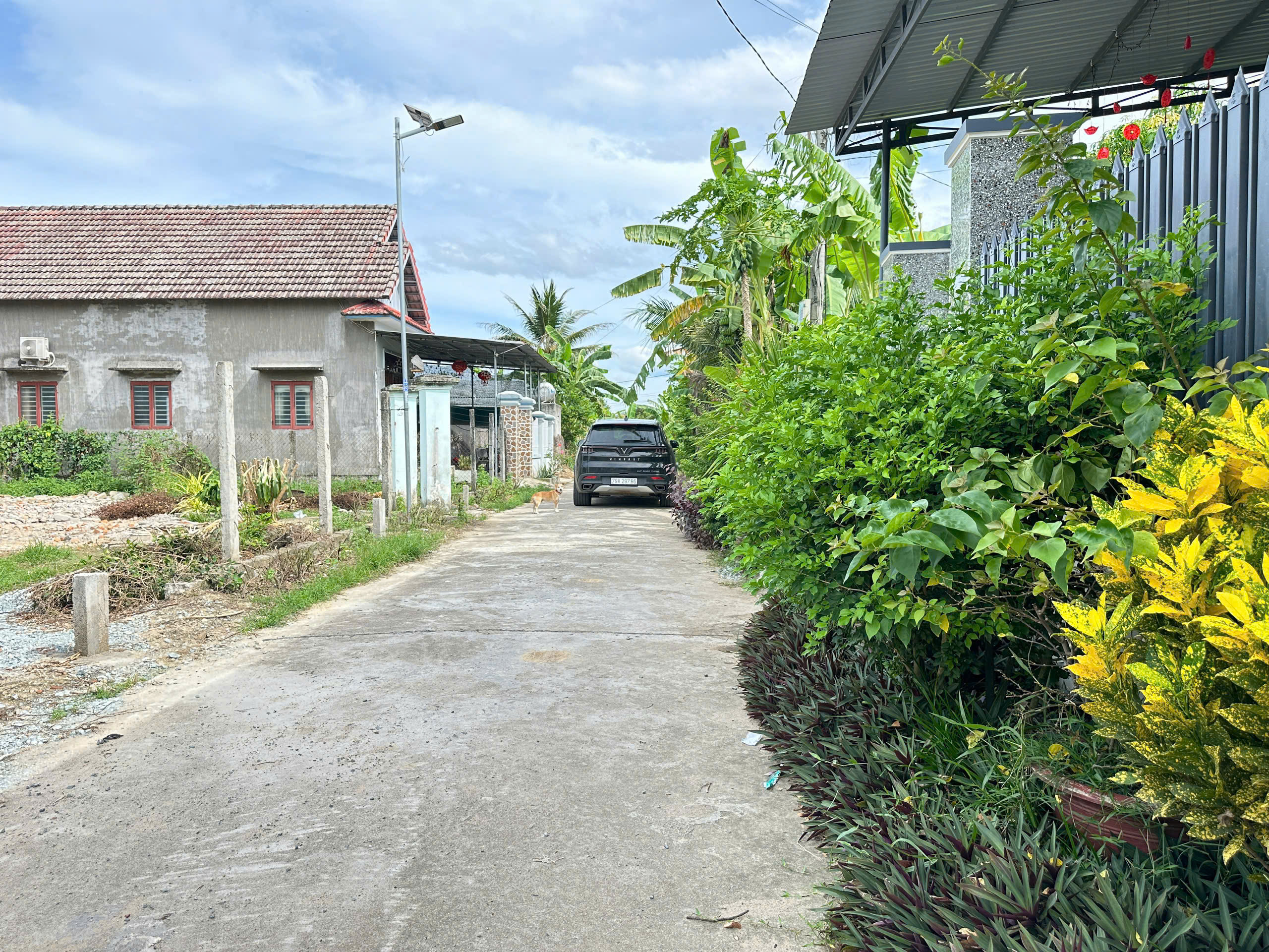 z6916362238951_4e36f10a916d59f04128a66c83e3229d