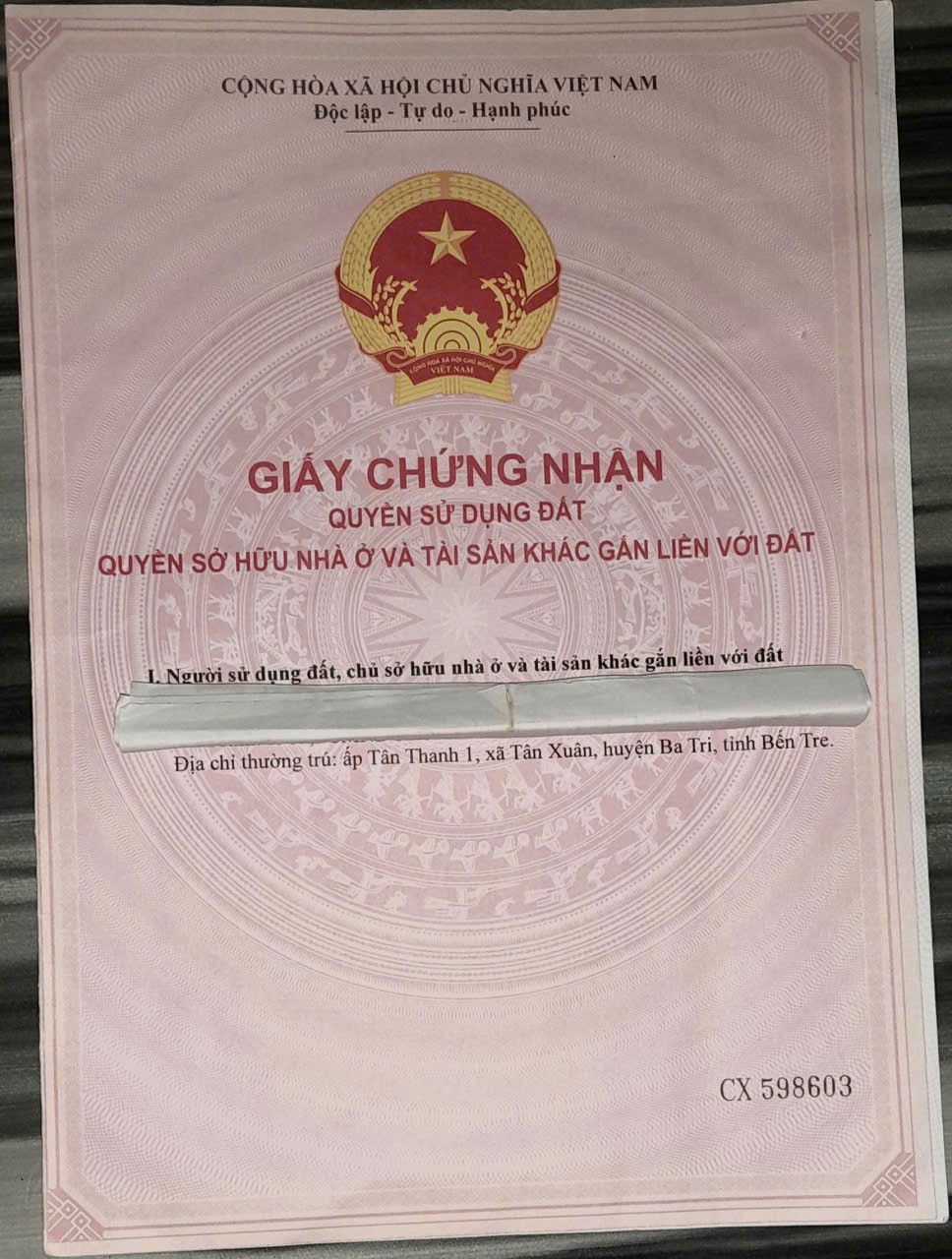 z6917721629269_b9411e11129da066741b88b65b1dfb1a