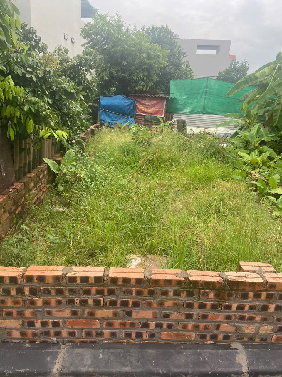 z6921301723788_a6902c759d66dc02775ff28747e3eba3