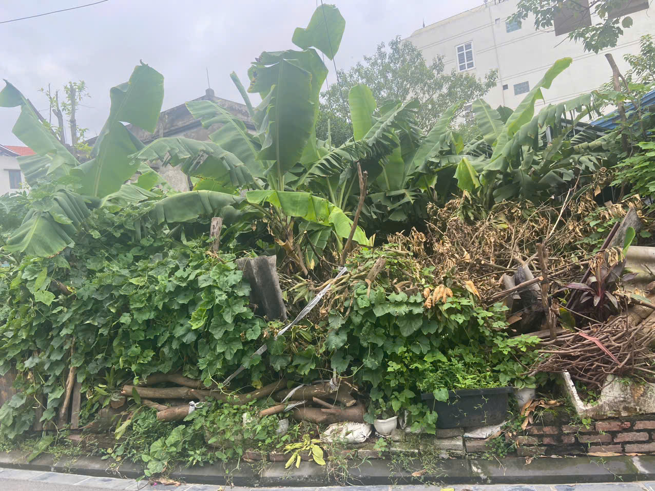 z6921301754919_69a0d60a791d86ebac15b979959eeb6f