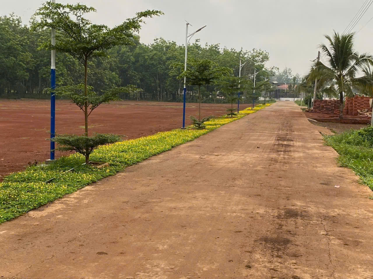 z6921350502497_e2dc3ab4a737781787ef48c7e60da072