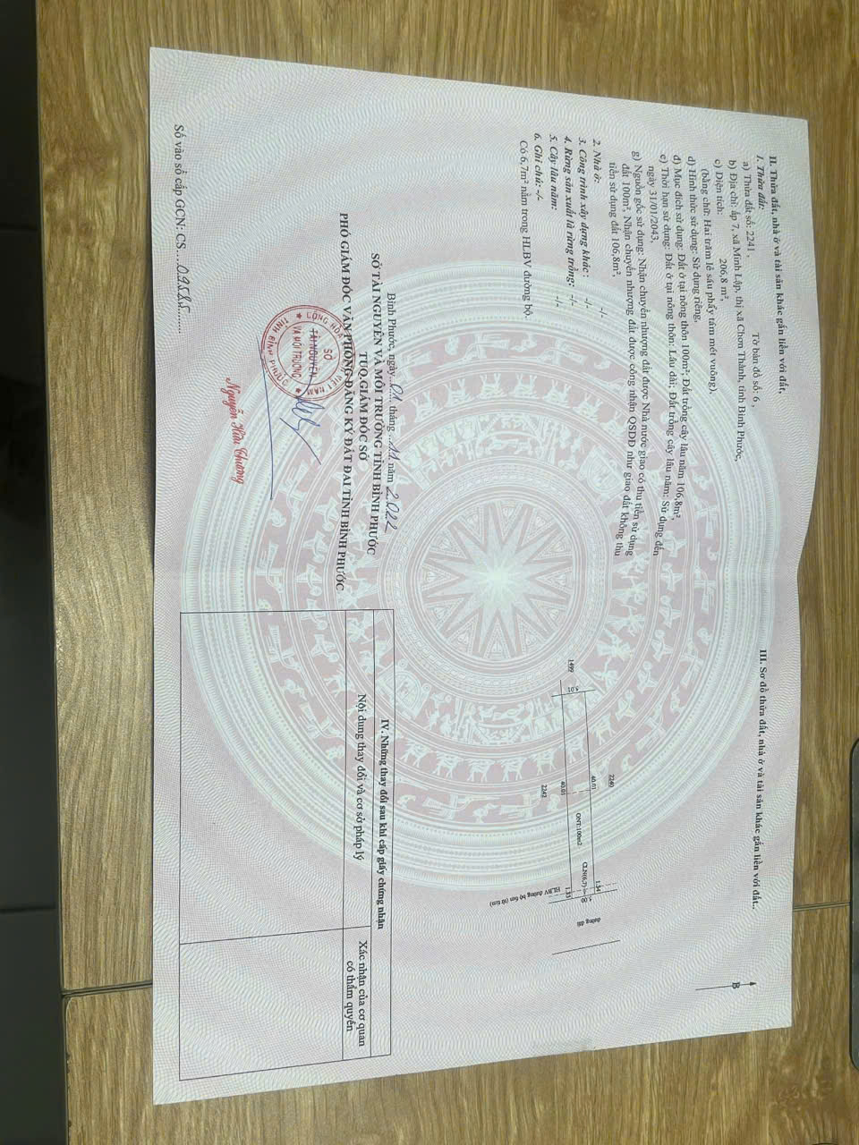 z6921926446269_376a1a56681440ee0b805784ed882814