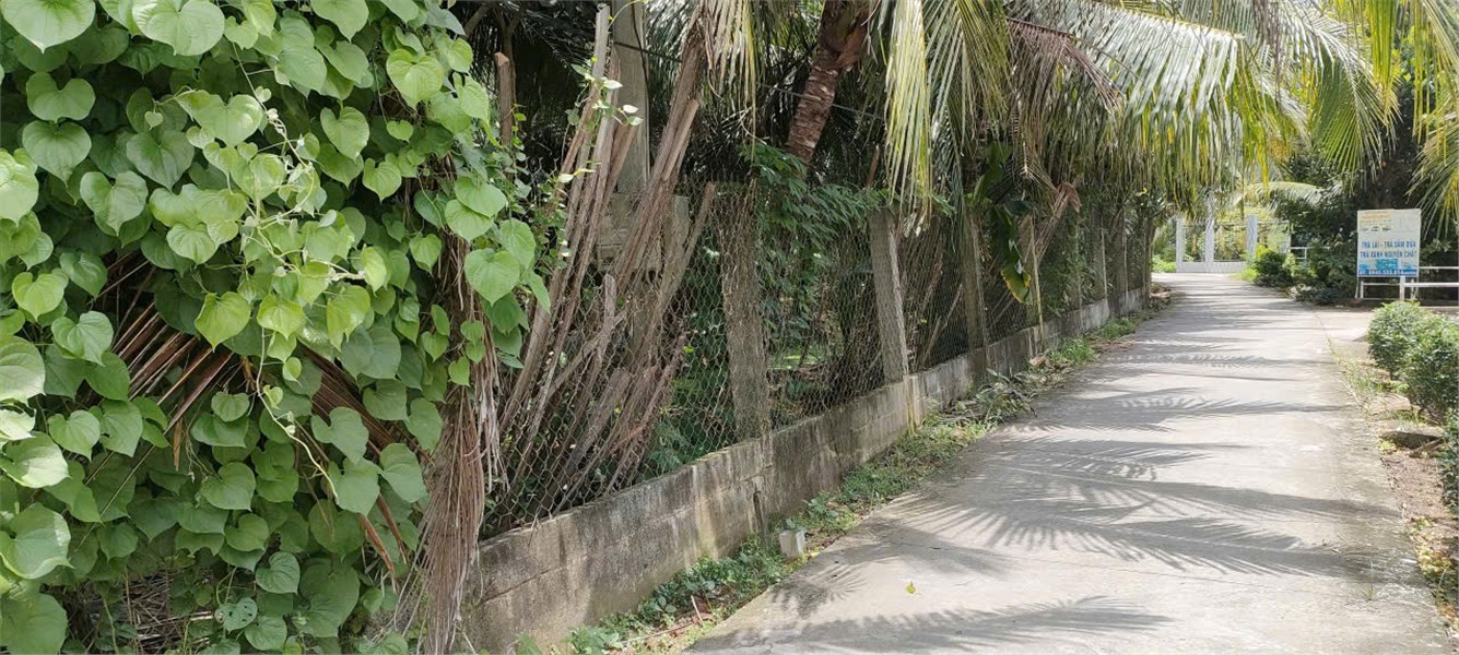 z6925956347629_a1b17d9ac3b16b7e4b5e2e12f0314d00