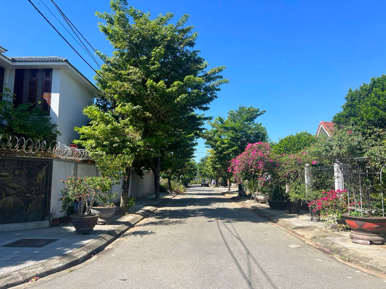 z6926576458826_f1c2e1183c597a761ecd680ca5fe95ed