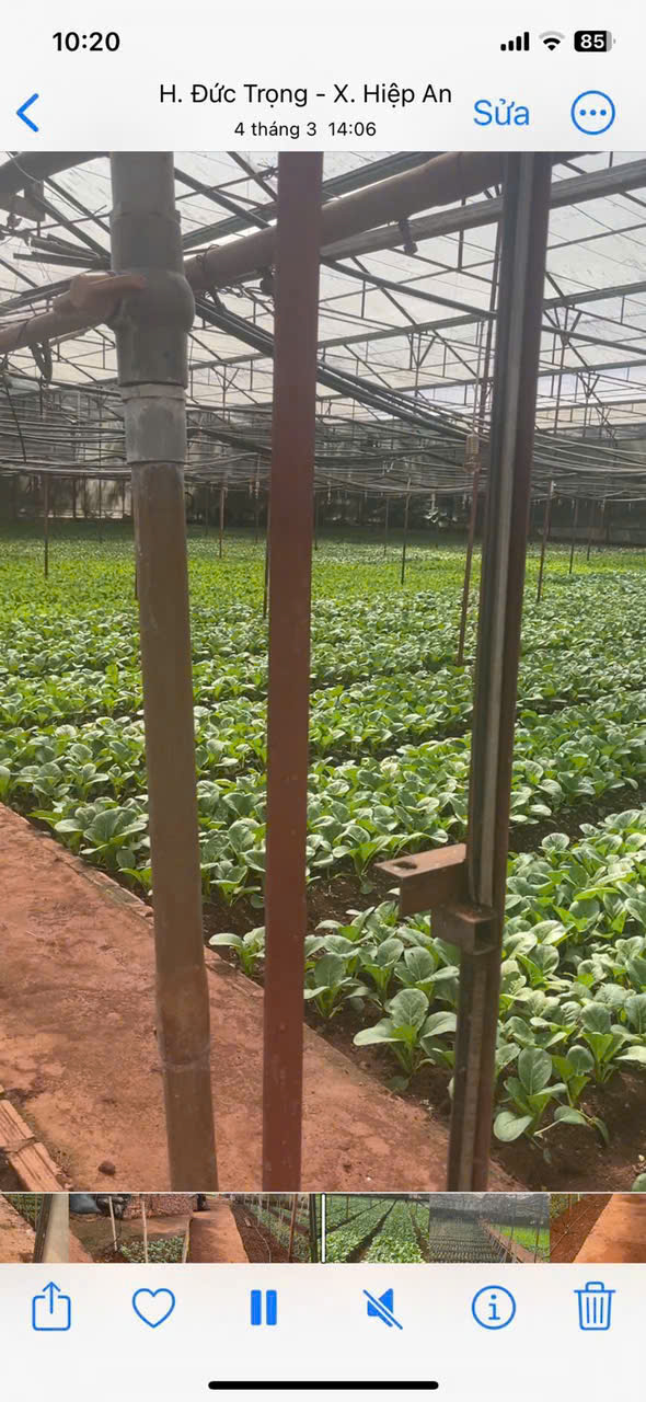 z6927531532167_050f8ddf18ca67f639a5d3b25812d491