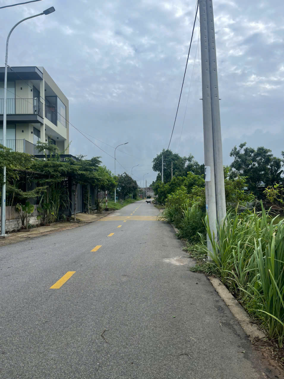 z6928357349934_d70375dbbab302bbba631928b1fec0e5