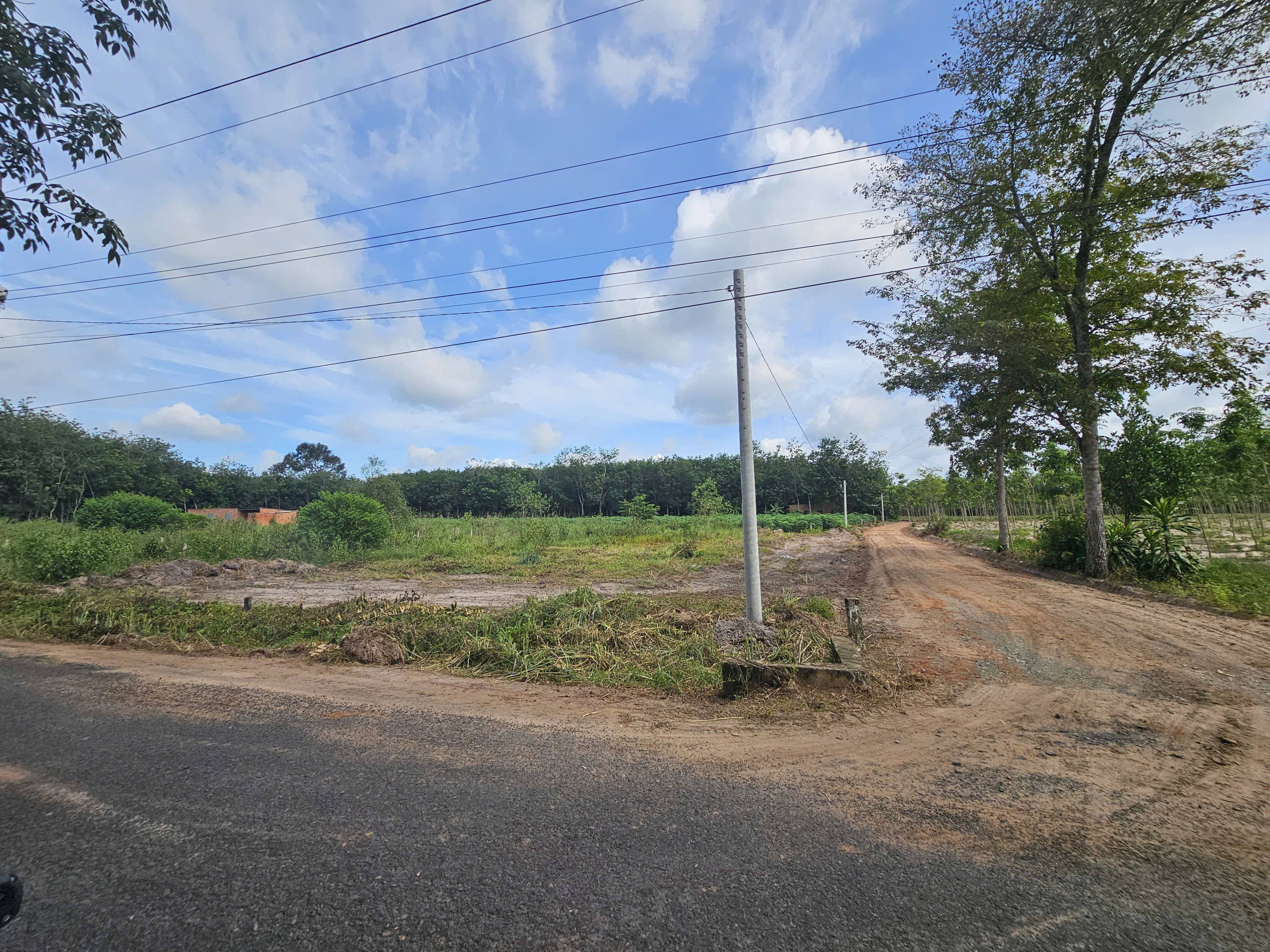 z6928382481642_957a89e127643345662922ec08ee0136