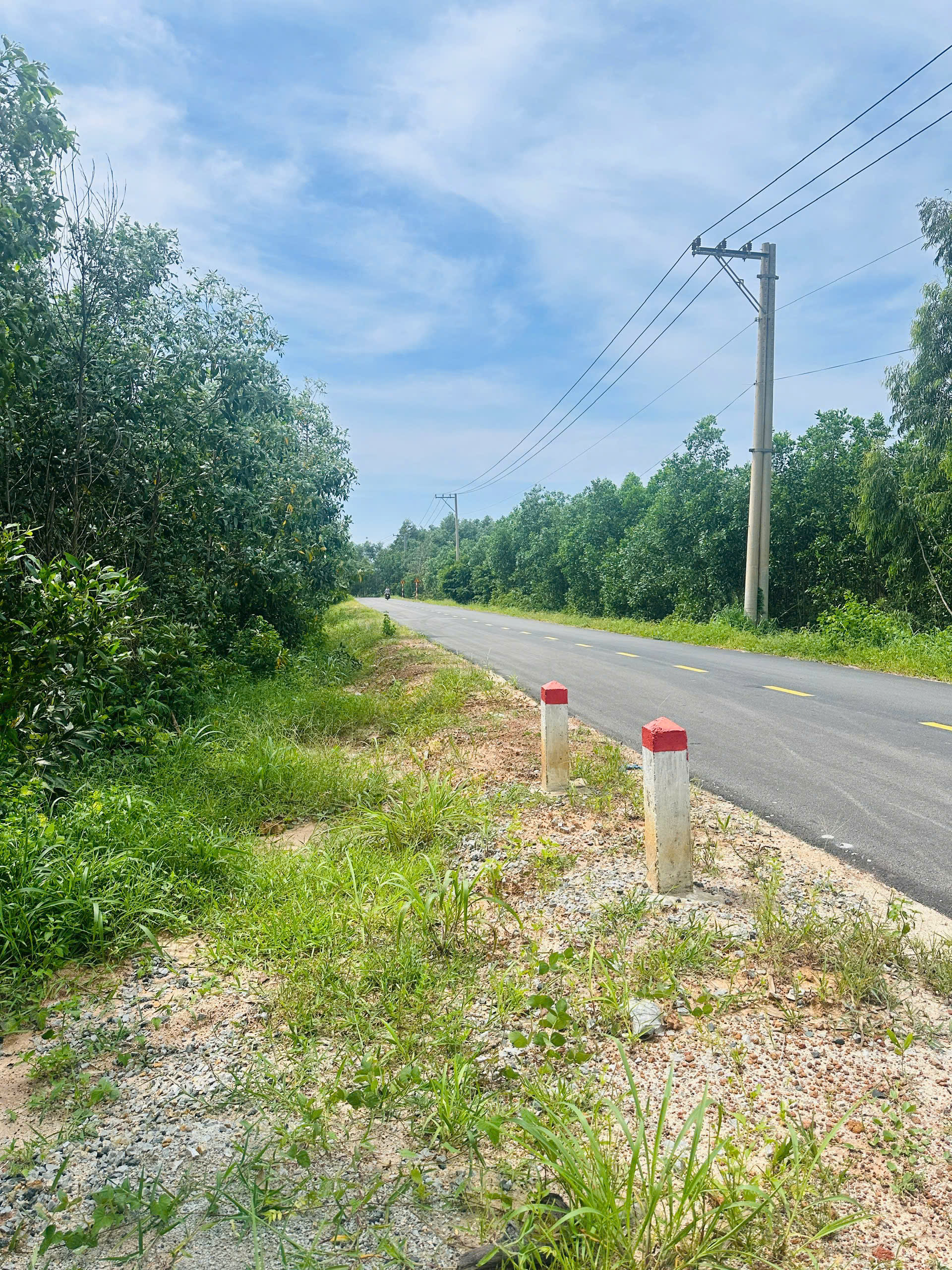 z6928834964349_264dd9ce5fe6d84f1c951c6d3cdd6afe