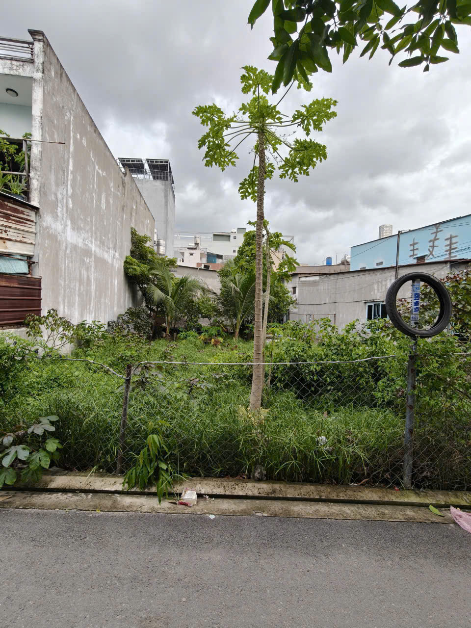 z6931357173442_3c652df5cfe64fec0cae20a8b0644bff