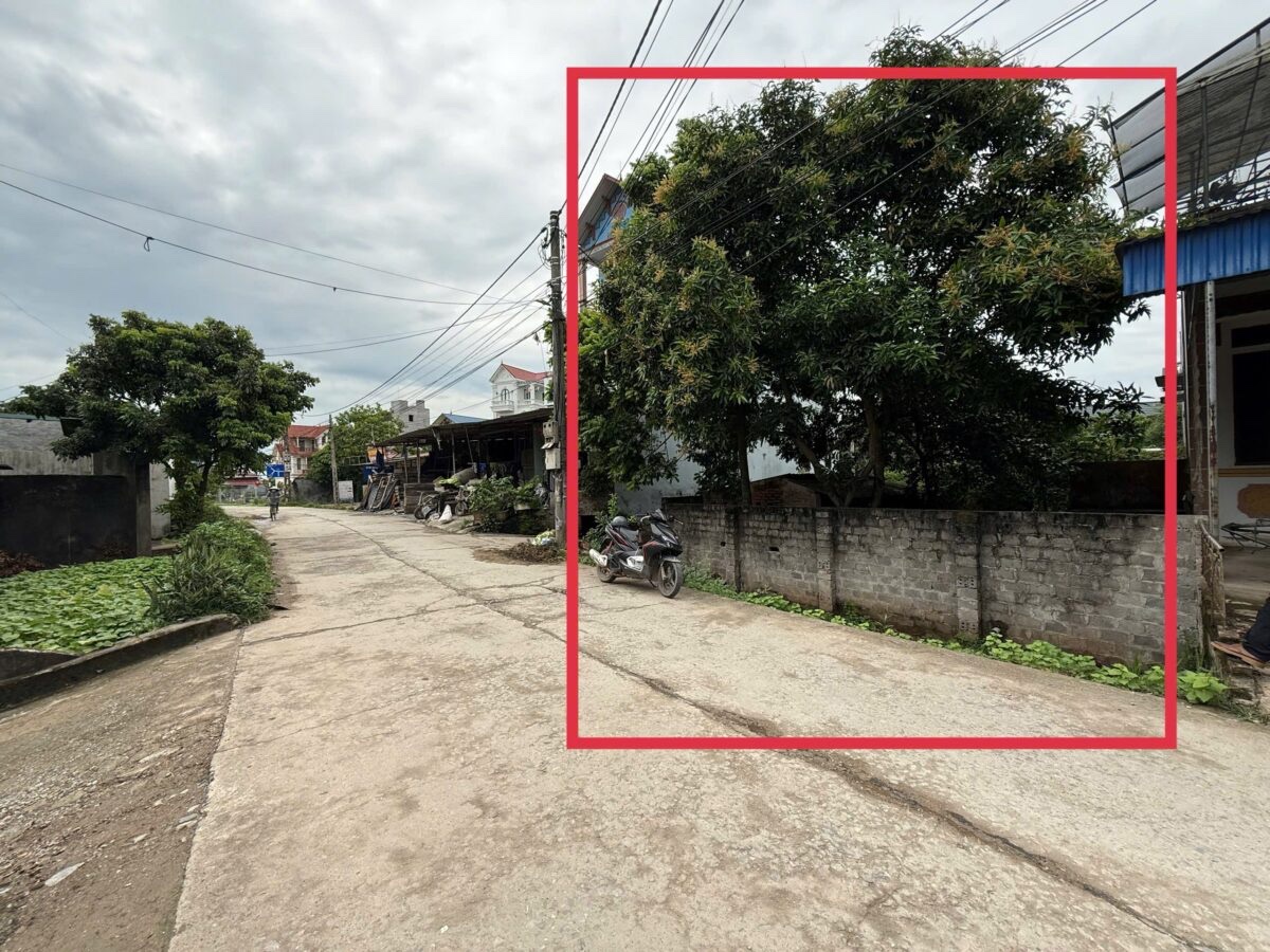 z6931363747583_52ec7f9a5c4f8bca702acb36604ef7a8