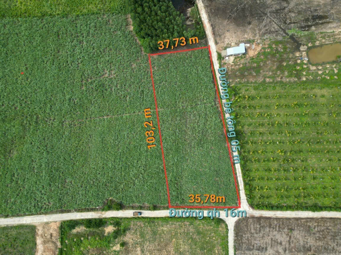 z6932877054143_6f47fa0edb5ec0ec801cdf2f623a9a95