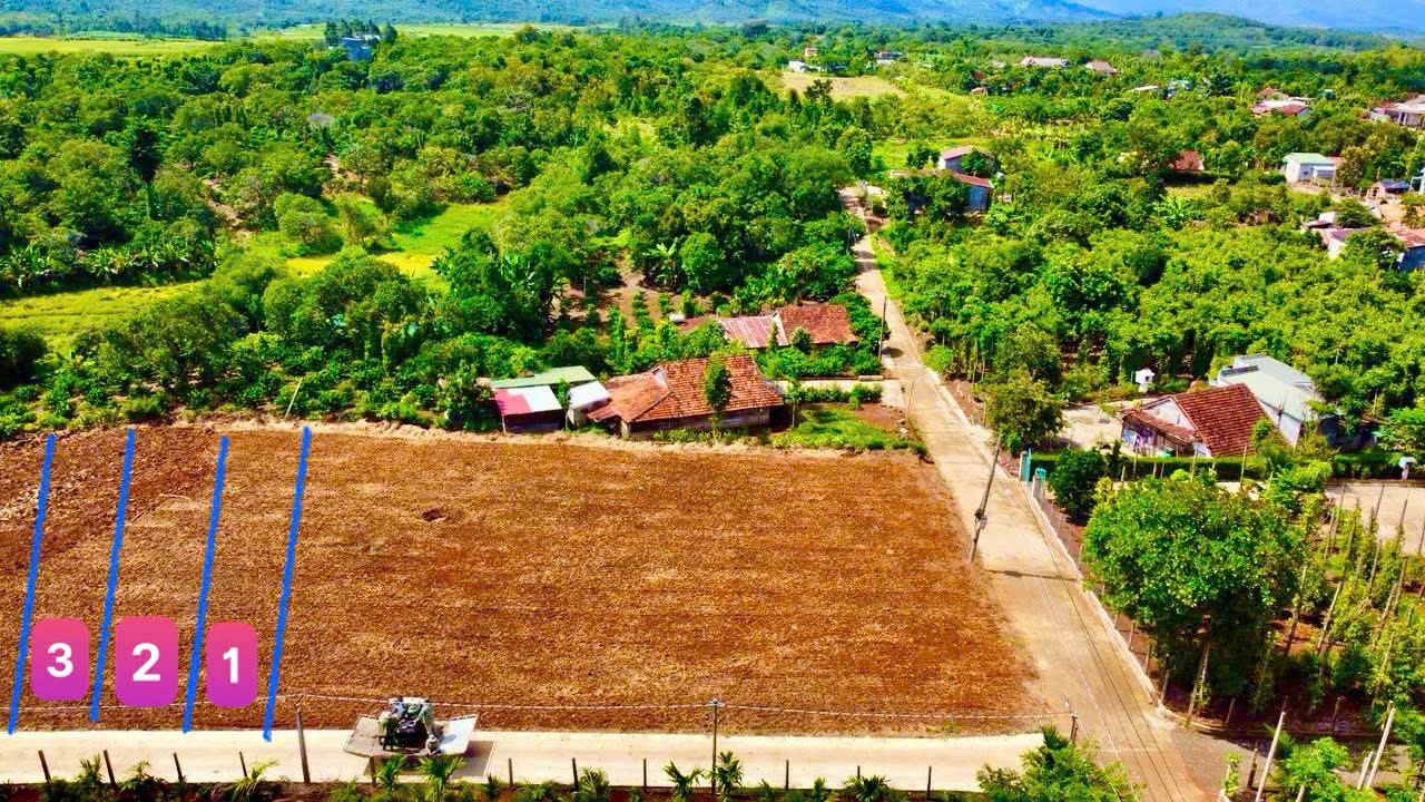 z6933203035623_3980cf9b1accb14da9bee23a732f7b11