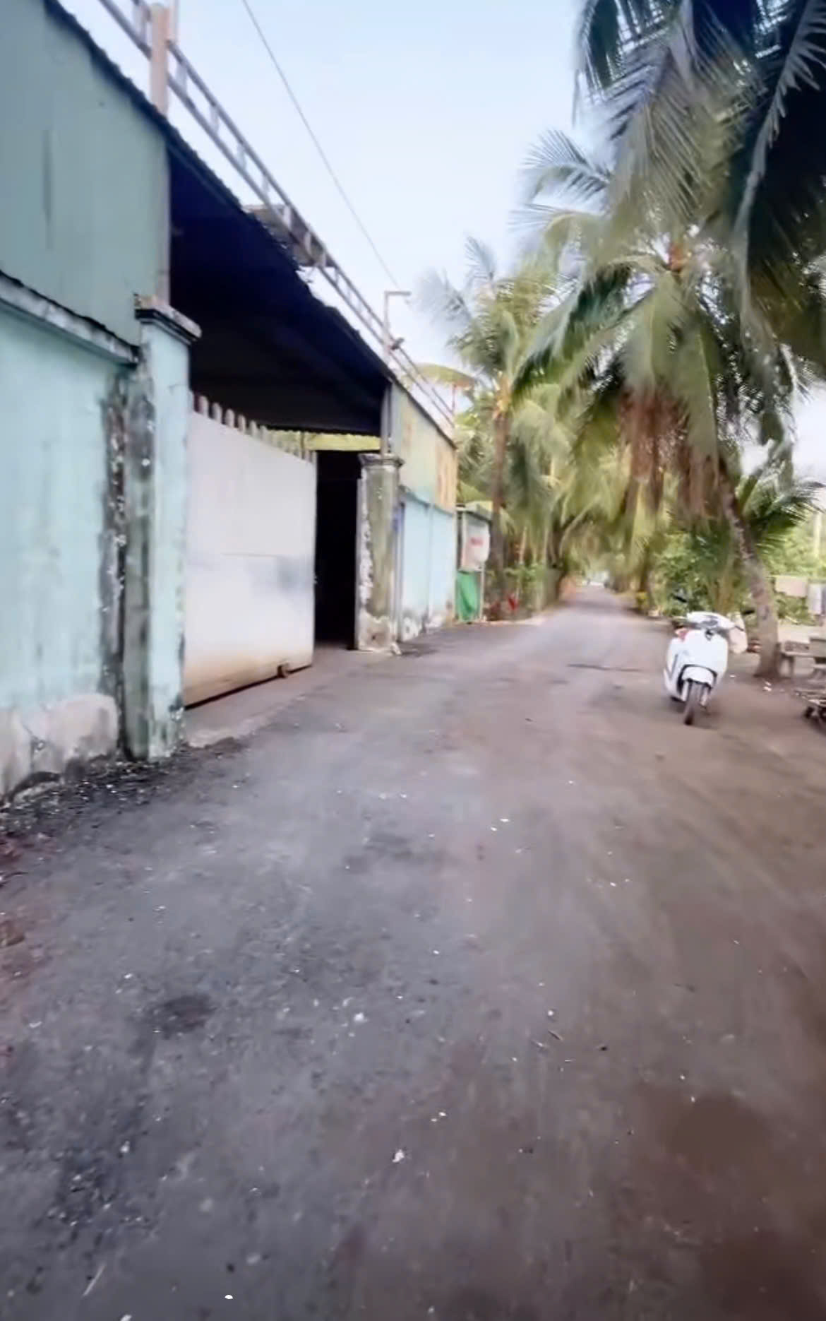 z6933381481756_c493e515296c0359eb4033fa89c6230b