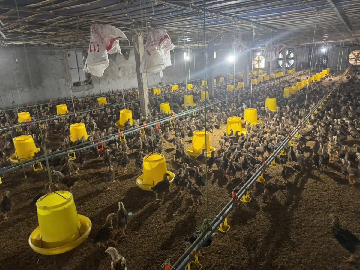 z6934411738229_e2d3d8ef191d200b0236a355eb3c06d1