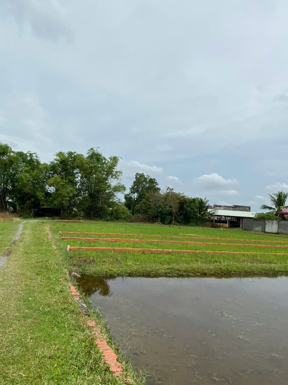 z6934513021236_7523d3c69211aca380ebe086a8dcced1