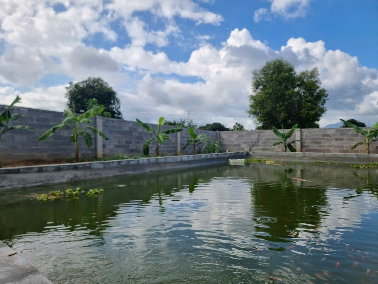 z6940634212520_23612d7ea1c51b701c9ebc405db28bb0