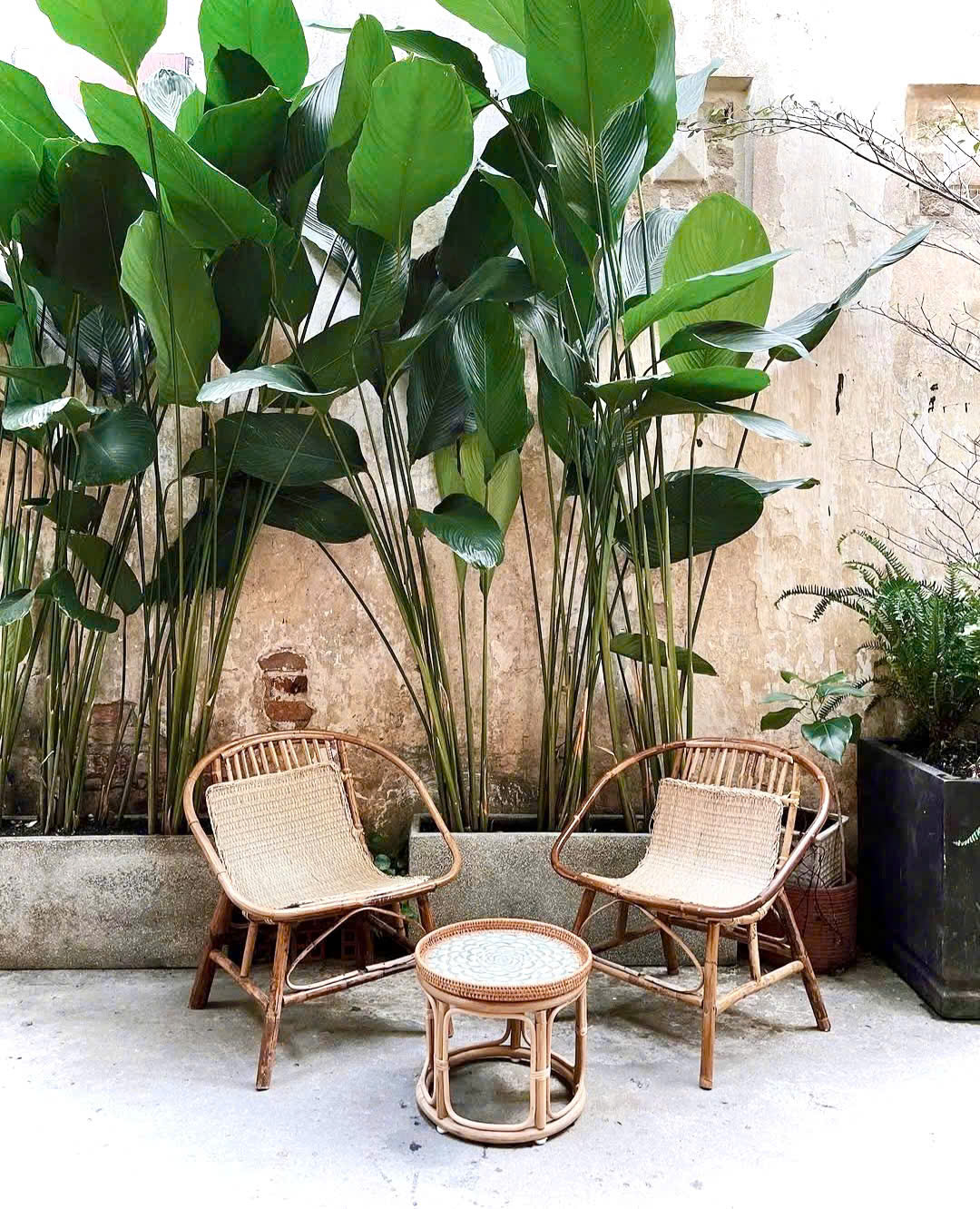 z6942812938412_b54935c15f4e255a6fe62811833a4cdf