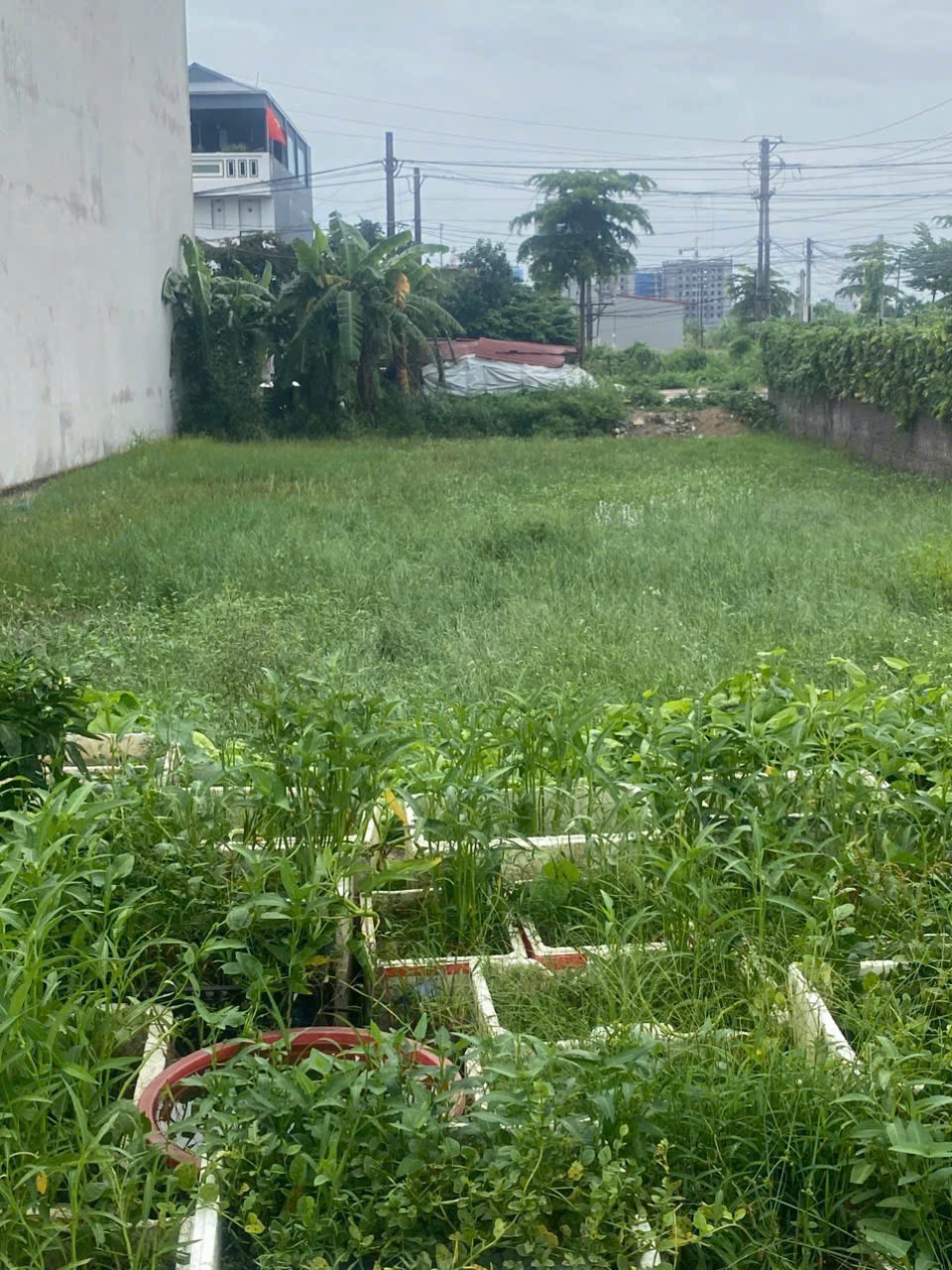 z6948808950028_0a6bef4c31196ddf5fc5b3125d33f9c8