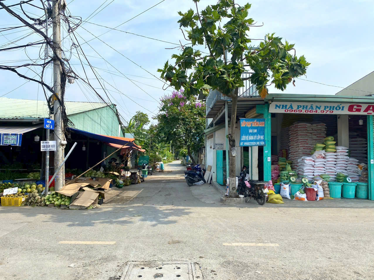 z6950210126605_3e3821963587d8865e5a6693eadf24c7