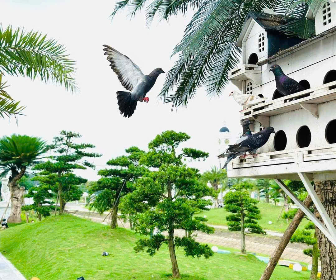 z6950322235967_a6a2e113b6733d48e0160e8e742bfffe